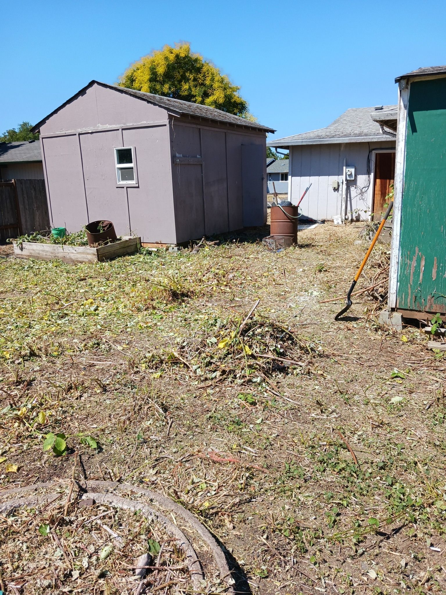 A shed is sitting in the middle of a field next to a house.