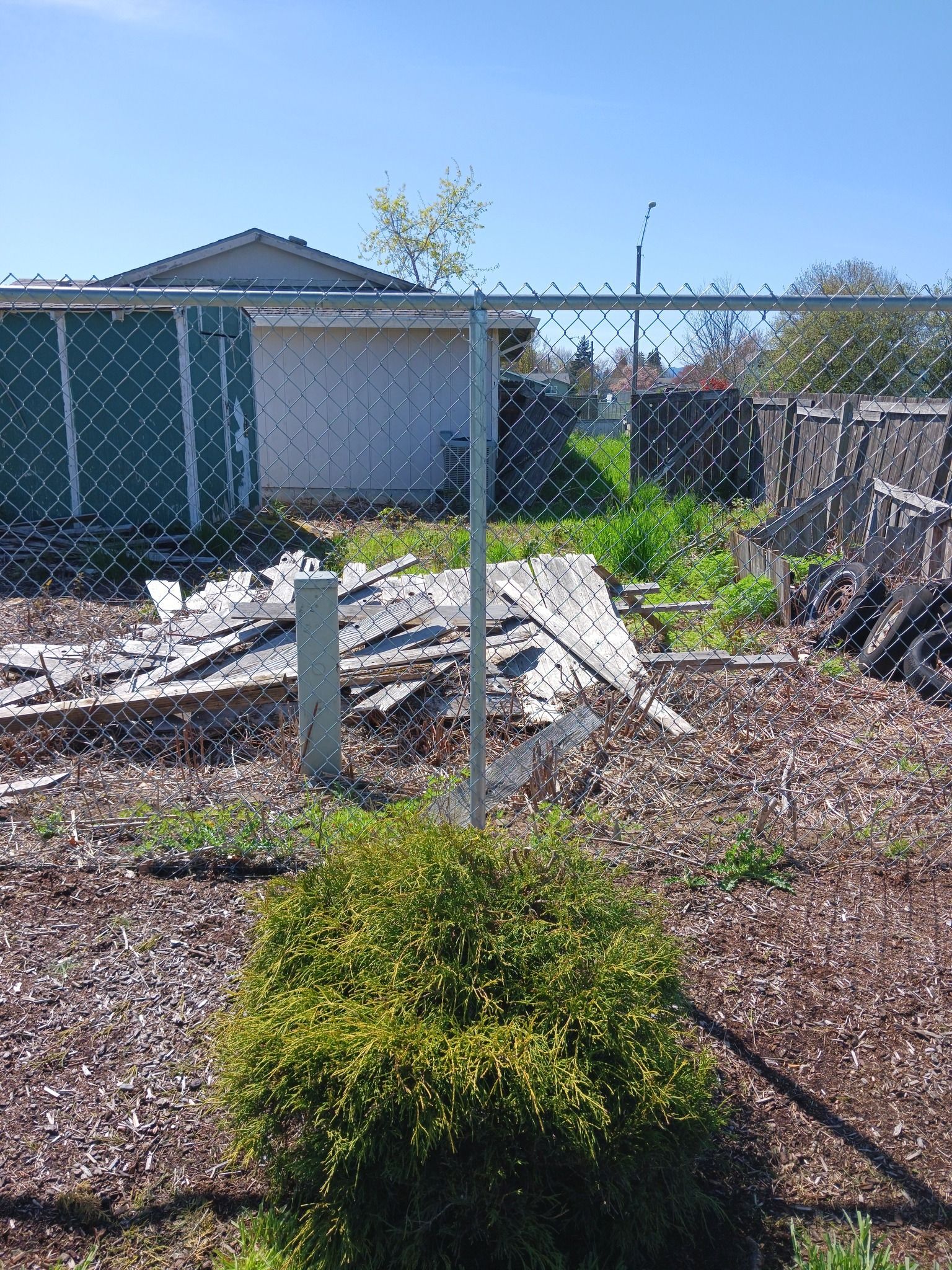 A chain link fence surrounds a yard with a house in the background.