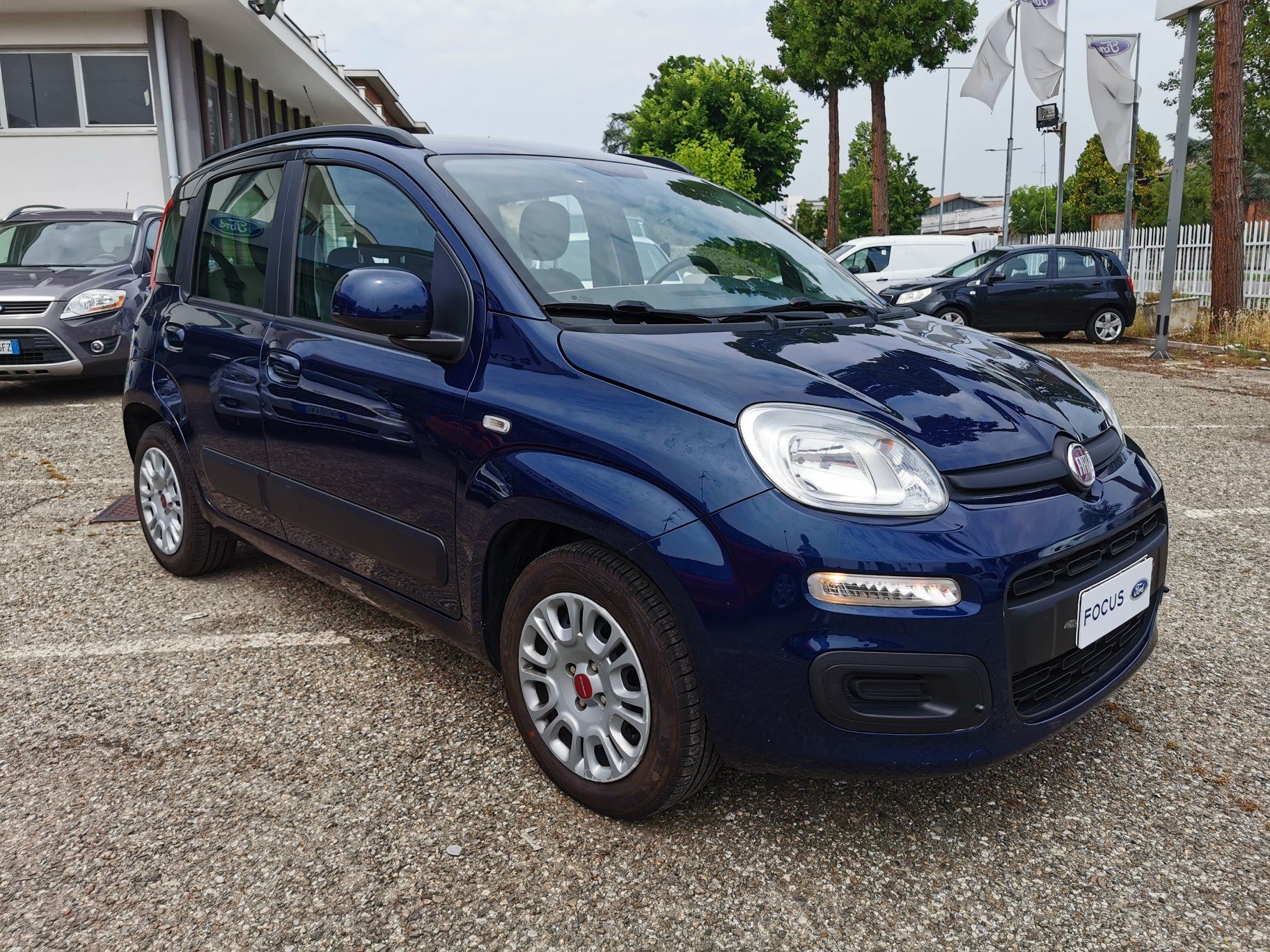 automobili commercio focus