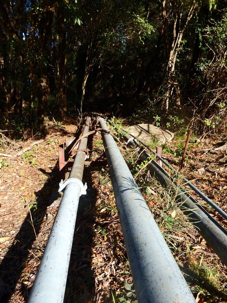 A Row Of Pipes Going Through A Forest With Trees In The Background — Blackpoly Pipelines in Orange, NSW