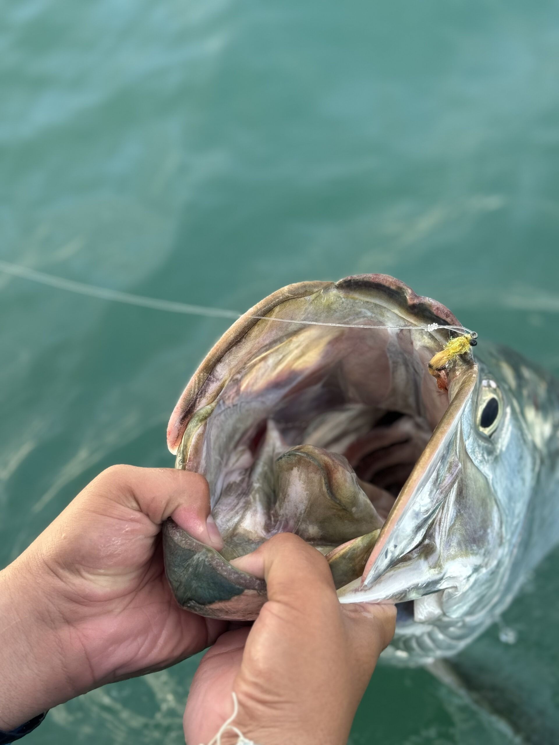 A person is holding a fish with its mouth open in the water.