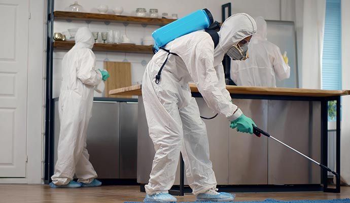 Three people in protective suits sanitize a kitchen.
