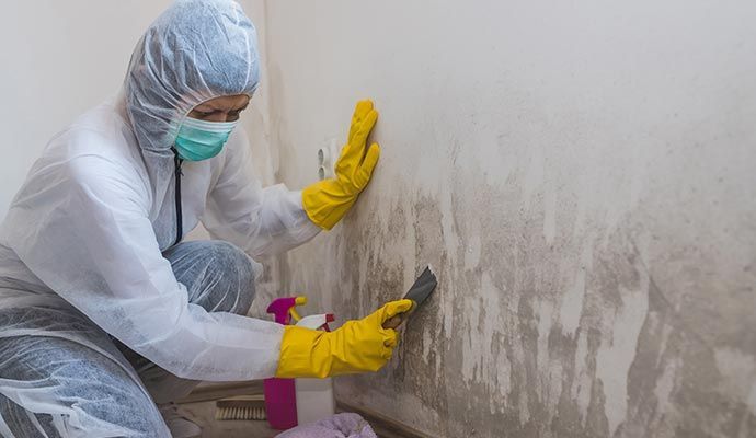 Person in protective suit removing mold from a wall, using scraper and spray bottle.
