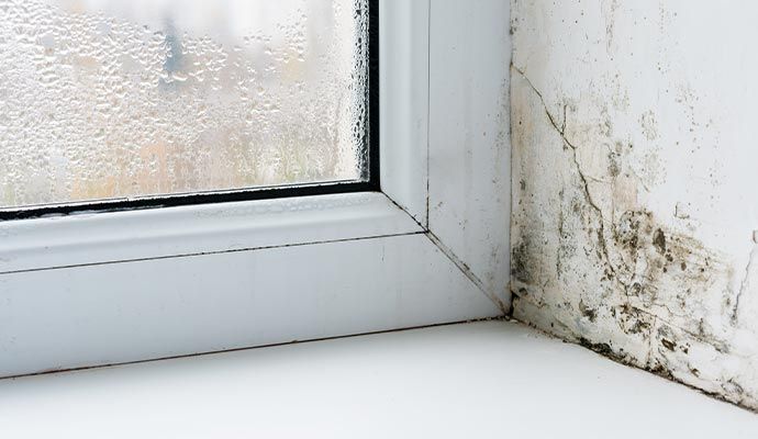 Mold growth on a wall next to a condensation-covered window, white frame.