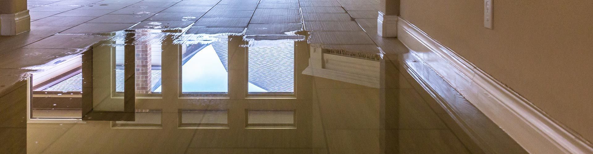 Interior view of a stairway with windows. Light streams through the windows, illuminating the walls and steps.