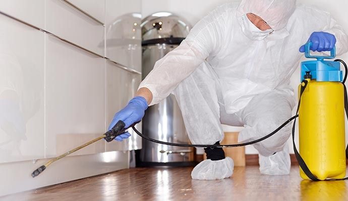 Person in protective suit spraying insecticide along a baseboard in a kitchen.