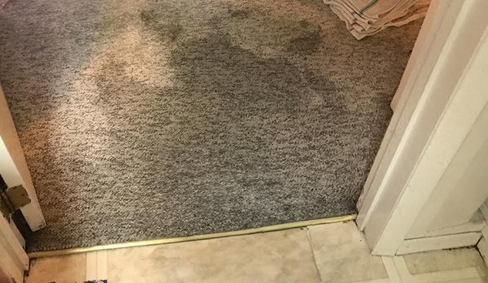 Gray speckled carpet fills a doorway, with white painted door frames on each side.