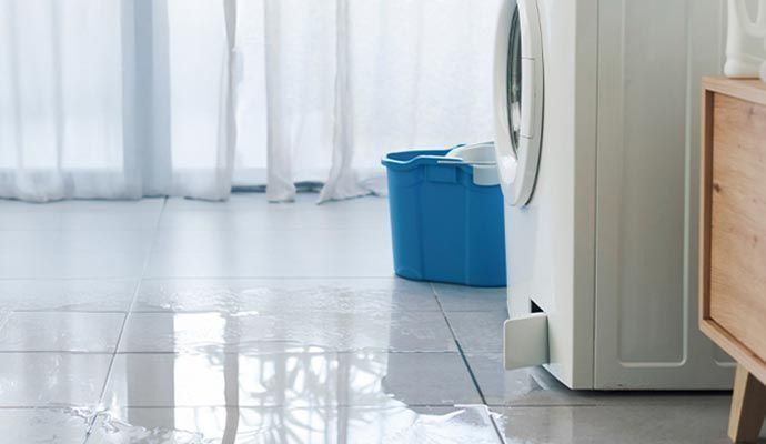 Washing machine leaking water onto a tile floor, blue bucket collects water. White appliance, bright room.