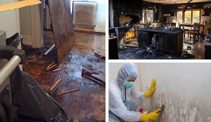 Damaged home scenes: water damage, fire damage, and mold removal in progress.