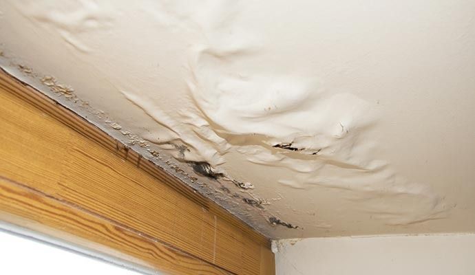 Water-damaged ceiling with peeling paint, near a wooden window frame; signs of moisture damage.