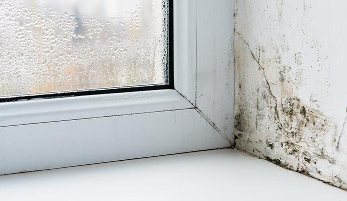 Mold growth on a white window frame and wall in a damp corner. Condensation on window.
