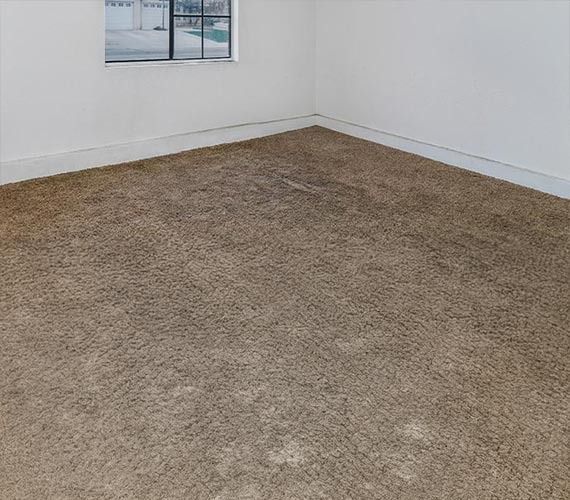 Empty room with beige carpet, white walls, and a small window.