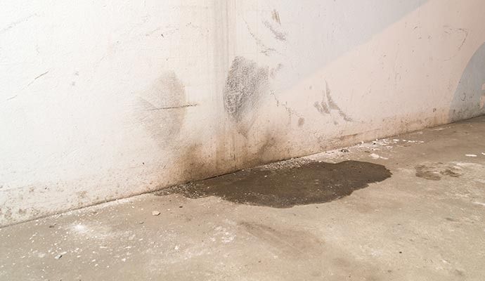 Wet, stained corner of a concrete room; water pooling on the floor, discoloration on the wall.