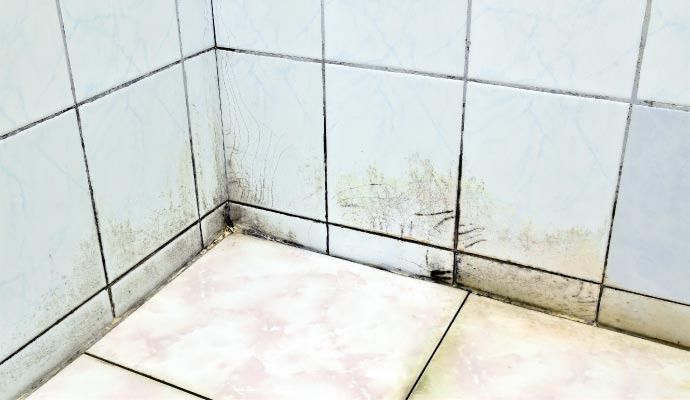 Corner of tiled bathroom wall and floor with dark mold.