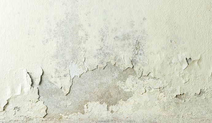 Wall with peeling paint and dark mold stains.