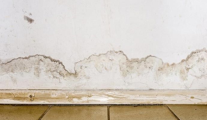 White wall with water damage, discolored in brown, above beige floor tiles.