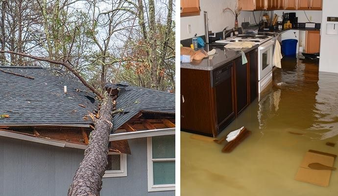 Left: Tree on damaged roof. Right: Flooded kitchen.