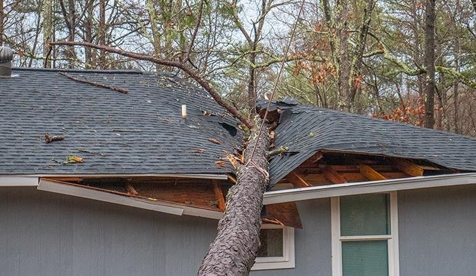 Tree fallen on a gray house roof, causing damage.