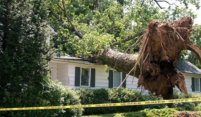 Fallen tree on a house; large tree trunk and exposed roots rest on the roof, yellow caution tape in foreground.