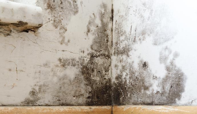 Wall with dark mold patches and discoloration.
