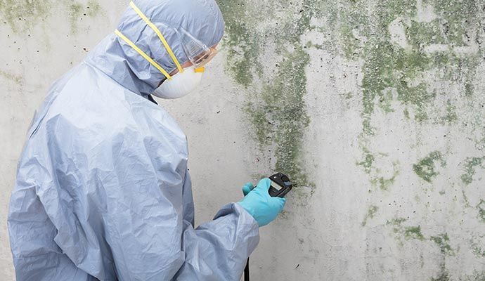 Person in protective suit inspecting wall with mold.
