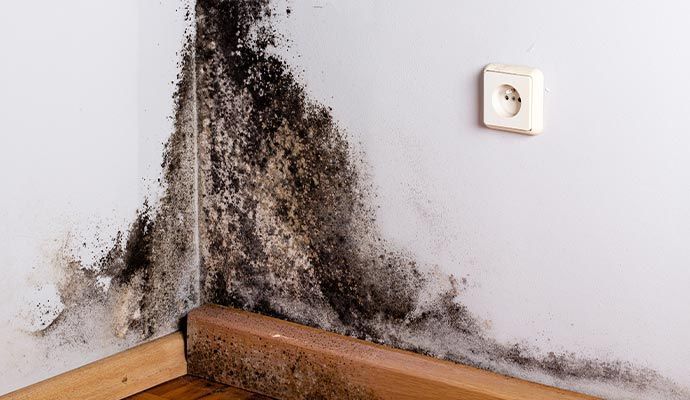 Black mold growth on a white wall in a corner, near a wooden baseboard and electrical outlet.