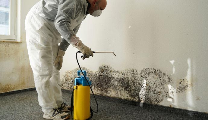 Person in protective suit spraying a mold-infested wall with a yellow sprayer, indoors.
