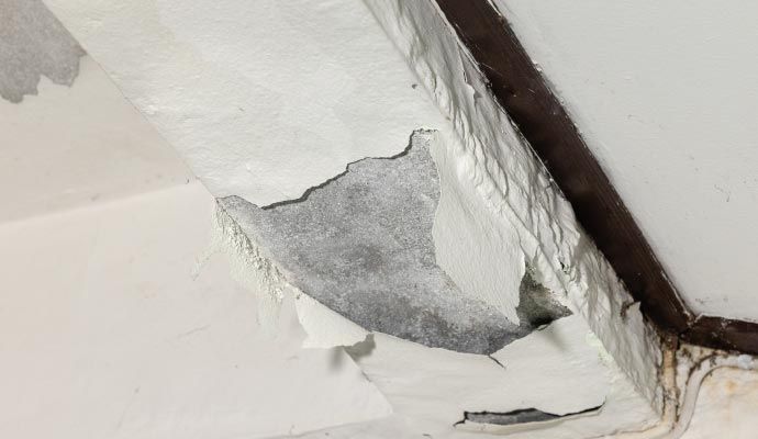 Flaking, peeling white paint on a ceiling, revealing gray concrete underneath.
