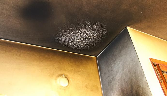 Charred ceiling and walls in a corner of a room, with a cluster of white spots near the ceiling.