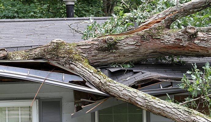 Fallen tree branch on a roof, causing damage.