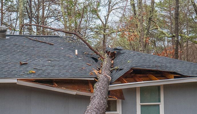 Tree fallen on a house, damaging the roof.