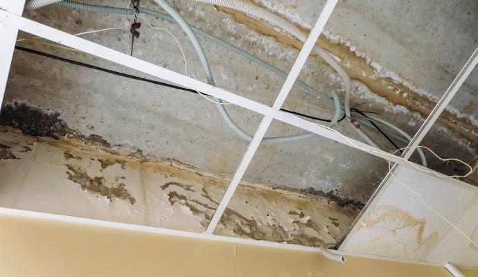 Damaged drop ceiling with water stains and exposed wiring.
