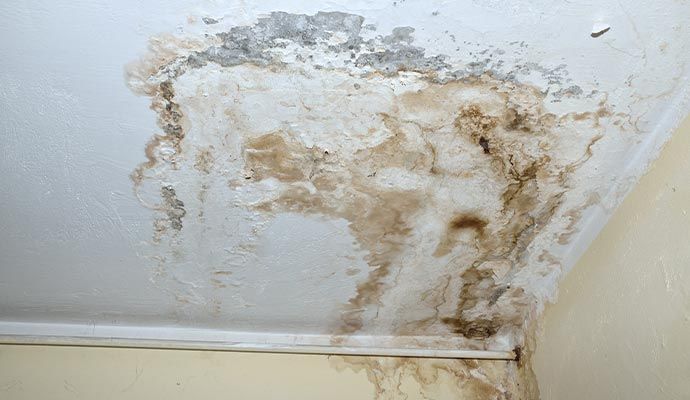 Water damage on a white ceiling, brown stains and peeling paint present near a wall.