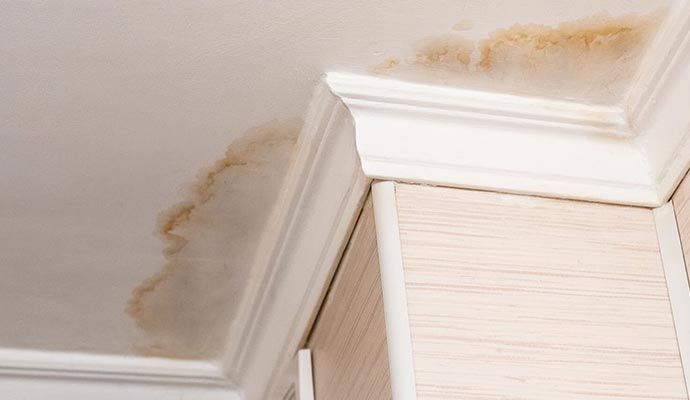 Water damage on a white ceiling with brown stains, next to light wood trim.