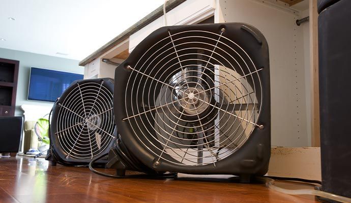 Two large black fans on a hardwood floor, possibly for drying, with a counter and TV in the background.