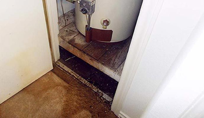 Water heater in a small, damp closet with stained flooring and a partially open door.