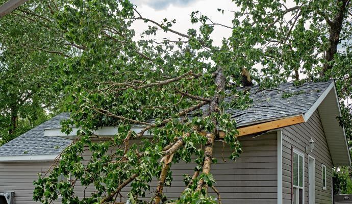 Tree branches on a house roof after a storm, with gray siding, and a cloudy sky.