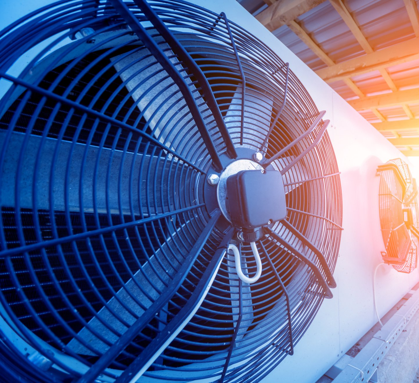 a close up of a fan with a blue background