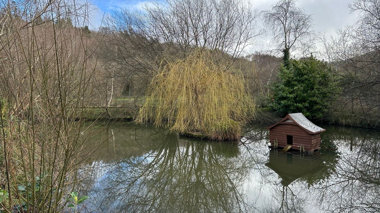 A small house is sitting on a small island in the middle of a lake surrounded by trees.