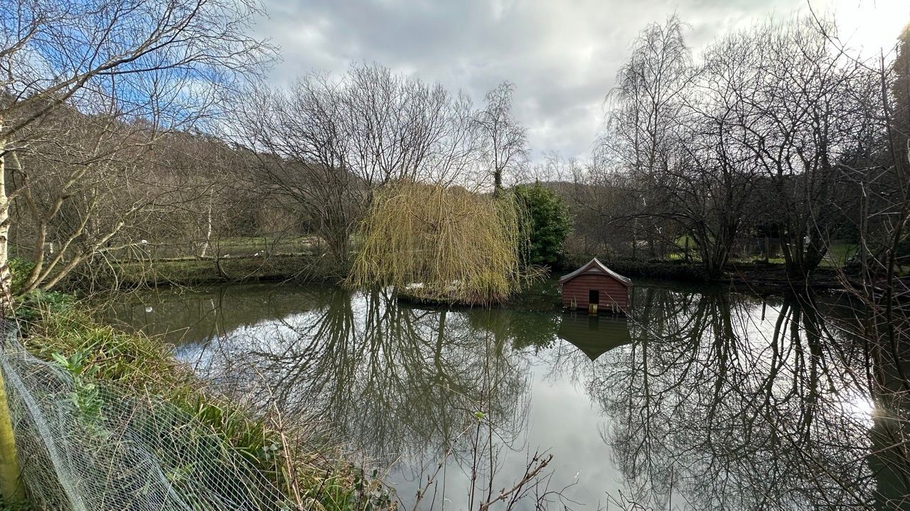 A small house is sitting on the shore of a lake surrounded by trees.