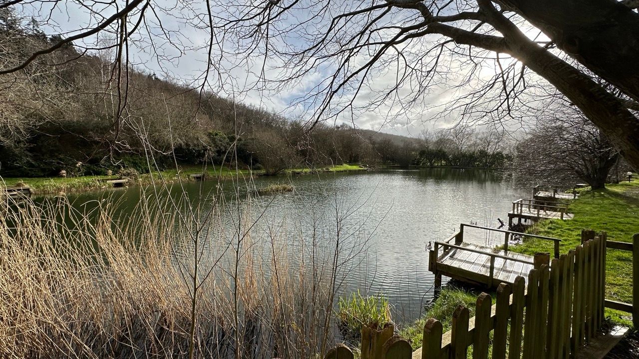A lake with a dock in the middle of it and trees in the background.