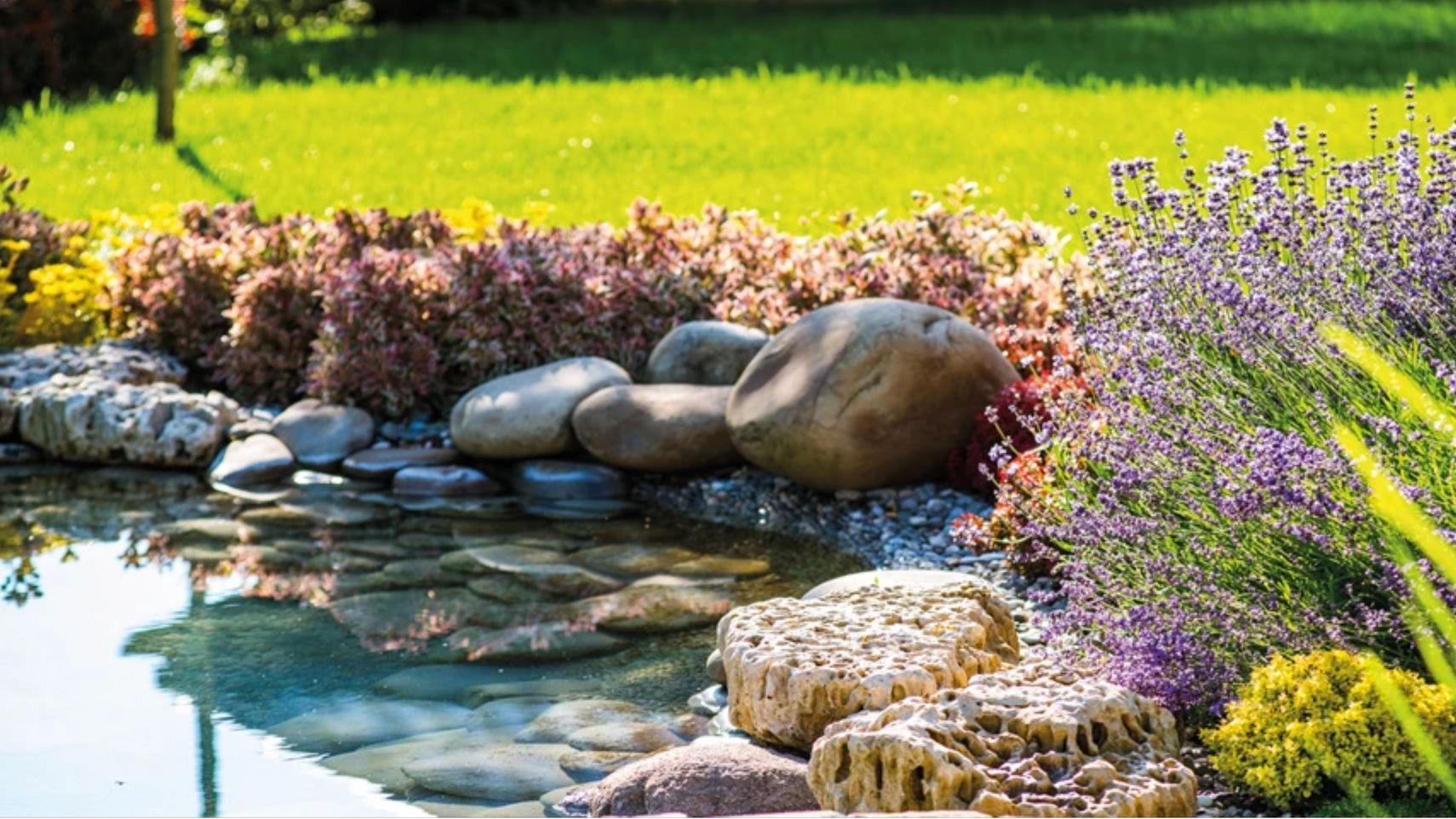 A pond surrounded by rocks and flowers in a garden.