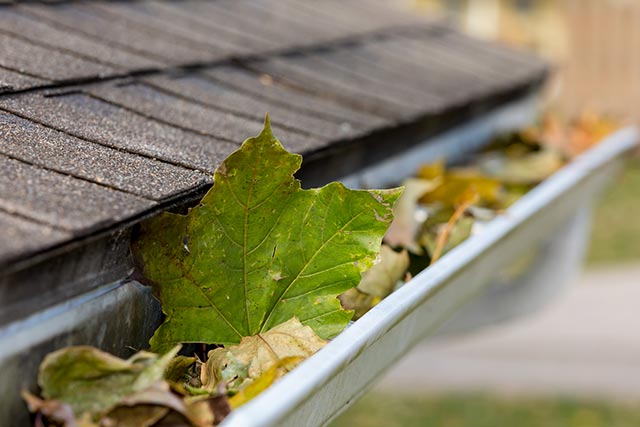 Gutter With Leaves — Baldivis, WA — Alan’s Window Cleaning Services
