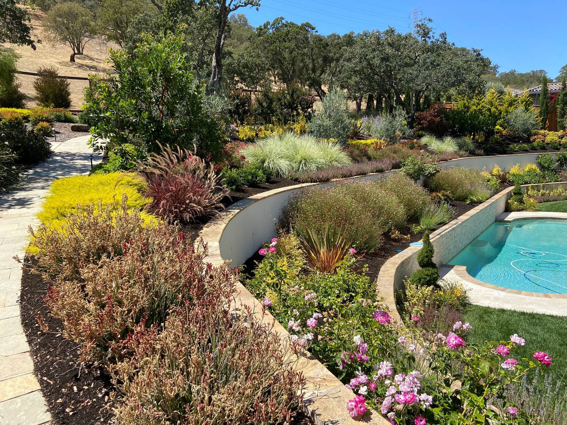 Beautiful garden by the pool designed by Vacaville's top landscaping company, Turfworks, Inc.