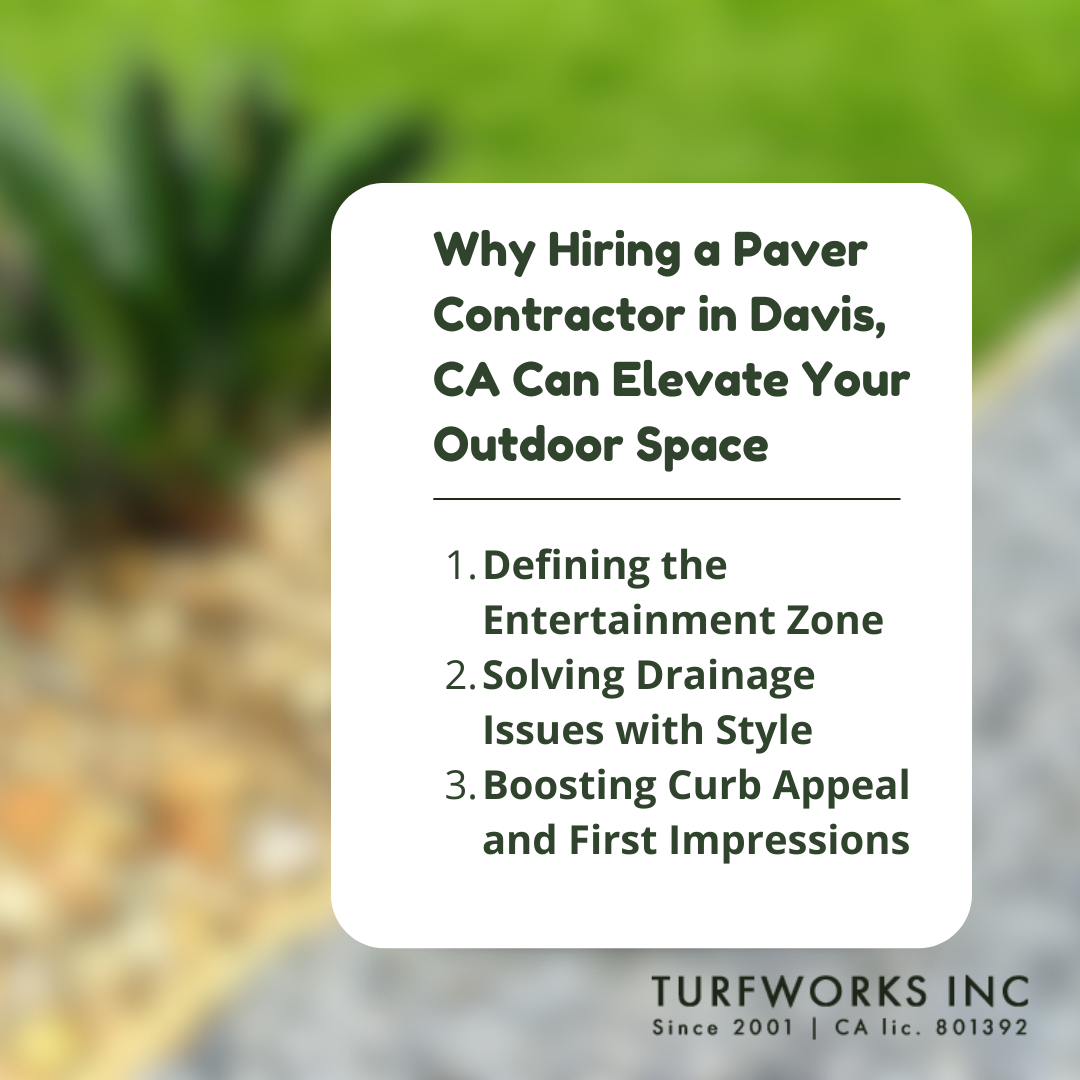 Hiring a paver contractor in Davis, CA to define zones, solve drainage, and boost curb appeal.
