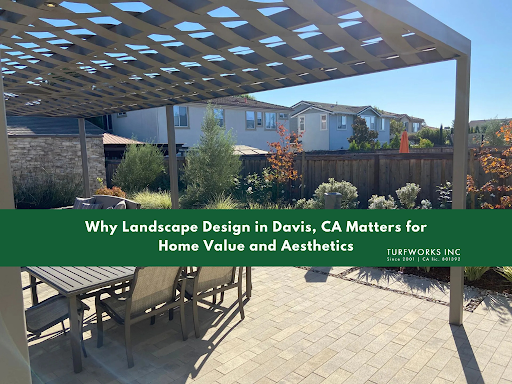 Image of pergolas with text why landscape design in davis, ca matters for home value and aesthetics