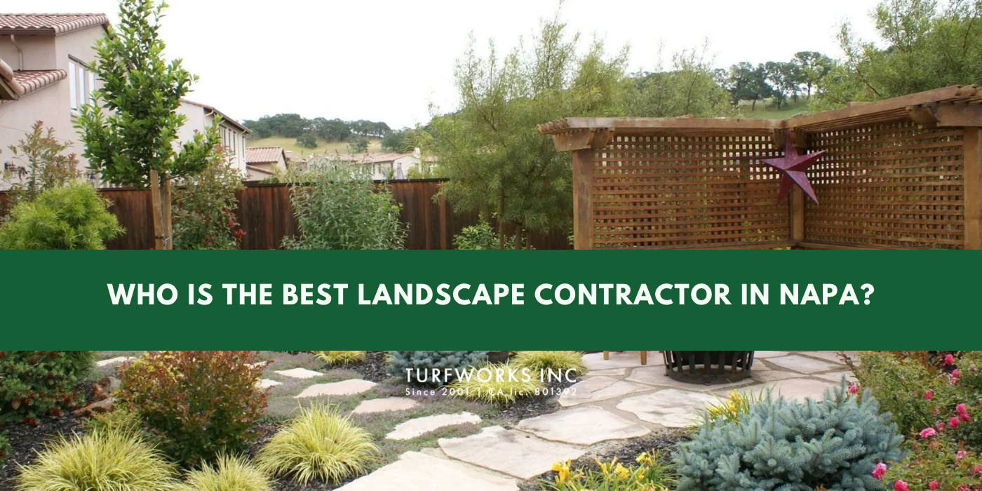 Turfworks Inc, landscape contractor in Napa, showcasing landscape design with pavers.