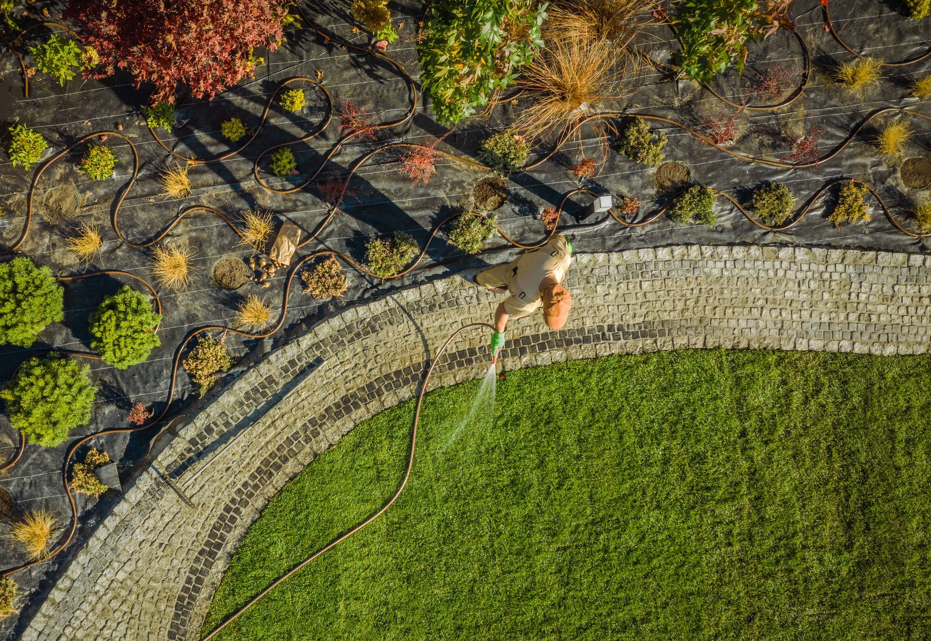 An aerial view of a person spraying a lawn with a hose.