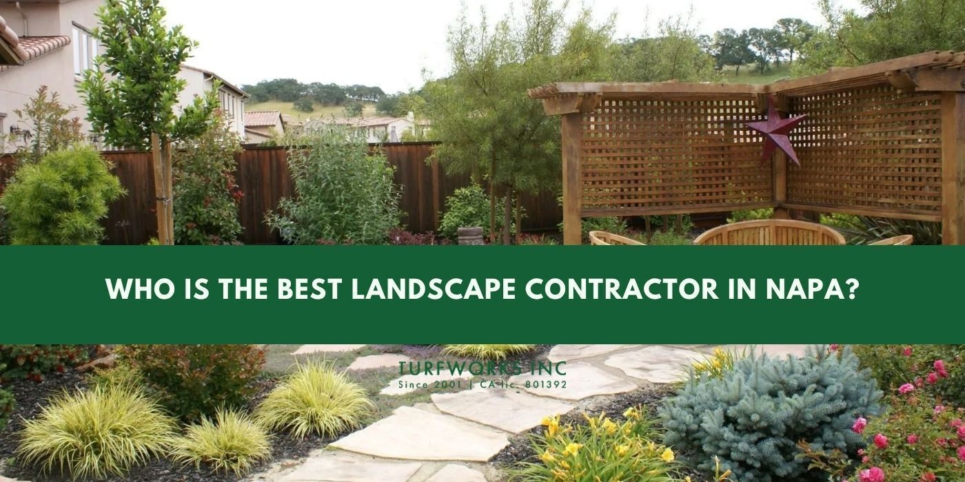Turfworks Inc, landscape contractor in Napa, showcasing landscape design with pavers.