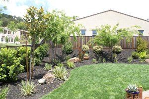 Lush backyard landscape design in Vacaville, CA, with a green lawn, vibrant plants, and trees along a wooden fence.